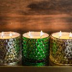 The SOi Company - Mistletoe & Holly 15oz Shimmer Candle 2 wick