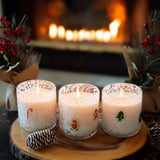 The SOi Company - Candy Cane Holiday Confetti Icon 12oz Candle