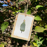 Sook & Hook - Christmas Tree Sea Glass Ornament