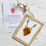 Sook & Hook - Rudolph the Reindeer Sea Glass Ornament