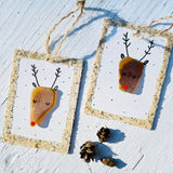 Sook & Hook - Rudolph the Reindeer Sea Glass Ornament