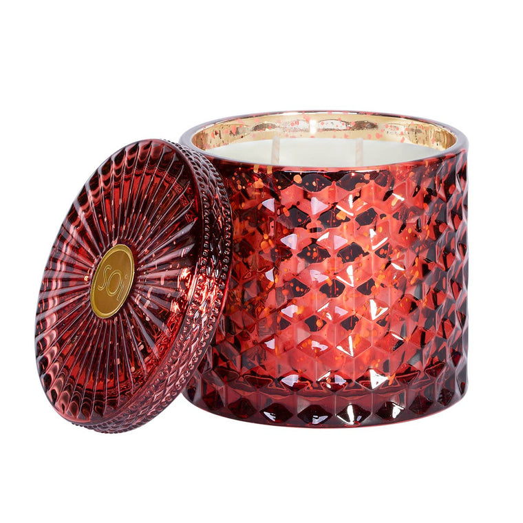 The SOi Company - Holiday Spice 15oz Shimmer Candle 2 wick