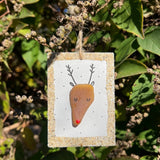 Sook & Hook - Rudolph the Reindeer Sea Glass Ornament