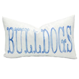 Rachel Brooks Design, LLC - Custom Powder Blue Watercolor Pillow