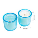 Hillhouse Naturals/Field+Fleur - Sea Salt 1 Wick Colored Glass Candle 8oz Ctn.6