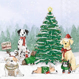 Boston International - Paper Cocktail Napkins Pk/20 Holiday Pups Christmas